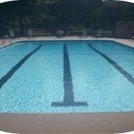 Speech and Language Activities for the Swimming Pool