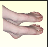write the plural form of the word foot