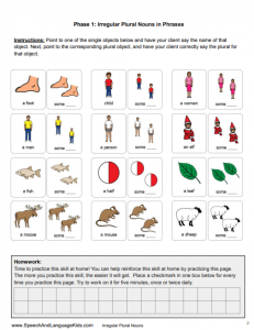 Irregular Plural Nouns Therapy Kit