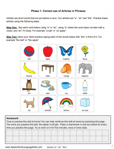 Teaching Articles Therapy Kit