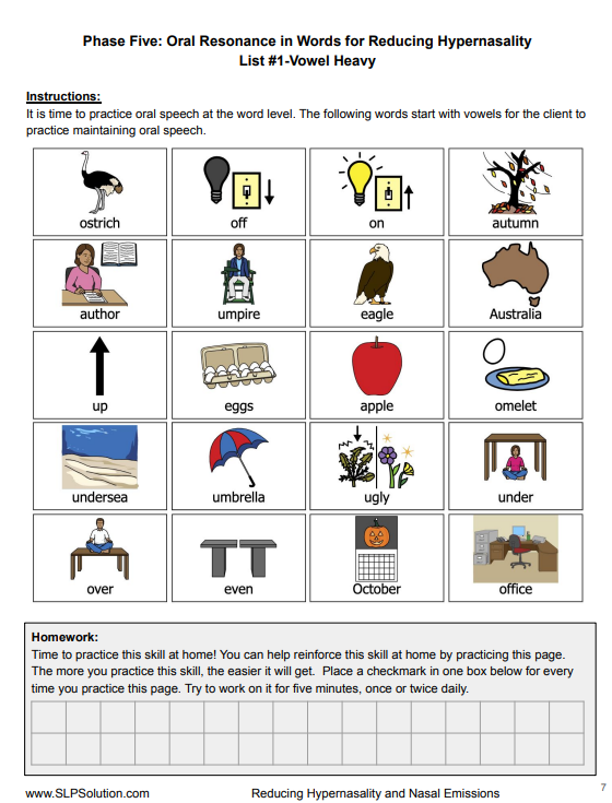 hypernasality kit thumbnail Resonance/Nasality Curriculum for Speech Therapy